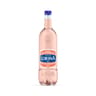 Lorina peche blanche 1l