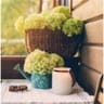 20 serviettes en ouate 33x33cm 3 plis flowers pot