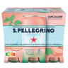 S.pellegrino essenza eau gazeuse aromatisée pêche menthe 6x33cl