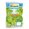 Bonduelle salade feuille de chêne verte format maxi sachet 175g
