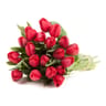 Bouquet de 20 tulipes rouges