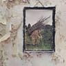 Vinyle  led zeppelin