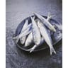 Sardine colis 3kg