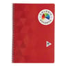 Carrefour cahier 21x29.7 cm 100 pages grands carreaux couverture vernie