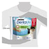 Dentalife médium maxi pack 345g