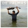 Cd de palmas sous un soleil de plomb