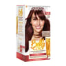 Garnier belle color coloration n°5.62 acajou irisé riche