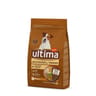 Ultima jack russel 1.5kg