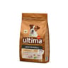 Ultima jack russel 1.5kg