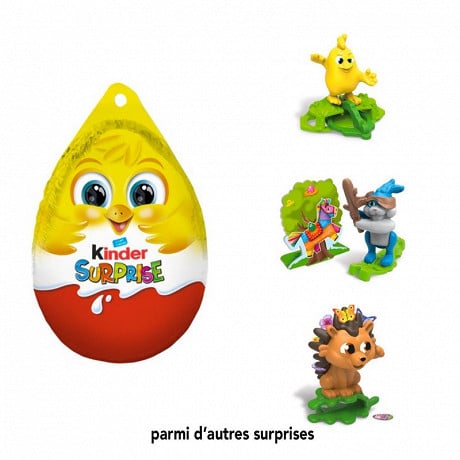 Kinder suprise poussin oeuf - 20g