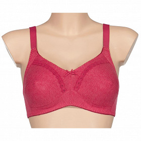 Soutien-gorge sans armature ROSE CASSIS 95D