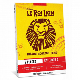 Le Roi Lion Théâtre Mogador Paris catégorie 3 (2 places)