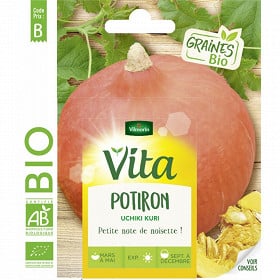 Vita Vilmorin potiron uchiki kuri bio