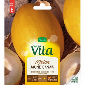 Vita Vilmorin melon jaune canari