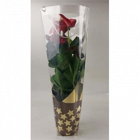Anthurium en deco noel reference 69240