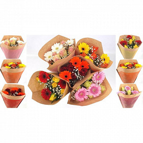 Bouquet duo rose germini 10 tiges 5 roses gros bouton 3 germinis et 2 gypsophiles